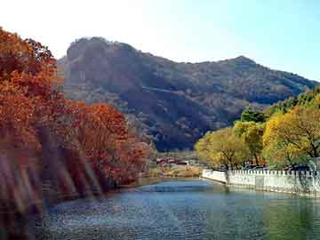 新澳天天开奖资料大全旅游团，现代修真